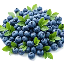 Realistic fresh blueberries with green leaves