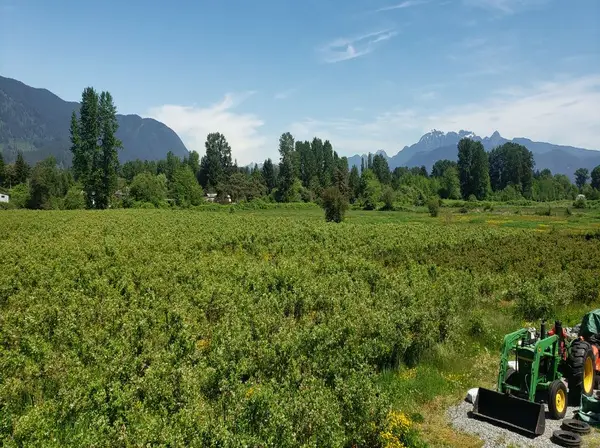 Our 5-Acre Fields