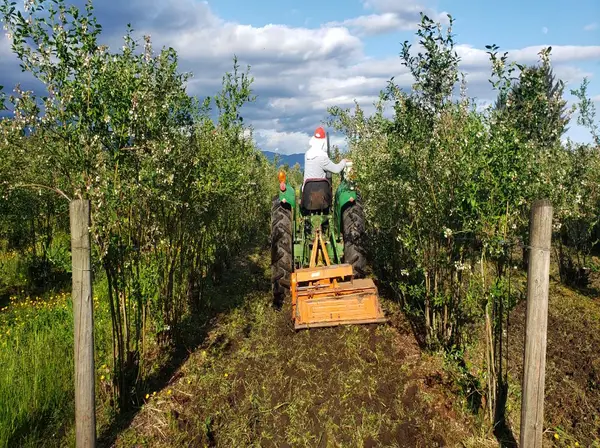 Machinery working in the fields